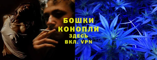 Альфа ПВП Богородск
