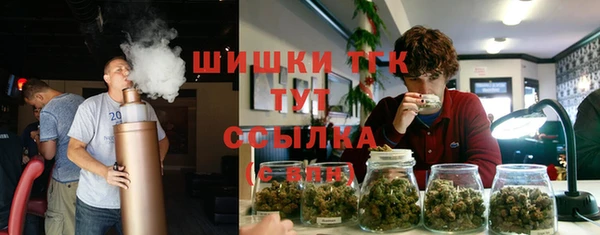 Альфа ПВП Богородск