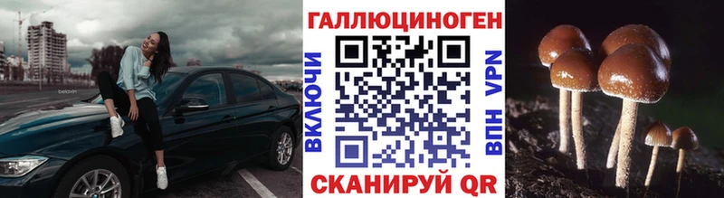 цена наркотик  Долгопрудный  Псилоцибиновые грибы мухоморы 