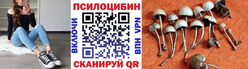 Псилоцибиновые грибы ЛСД Долгопрудный