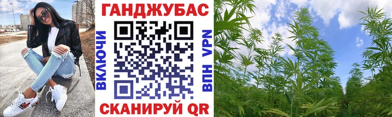 omg вход Долгопрудный Конопля SATIVA & INDICA